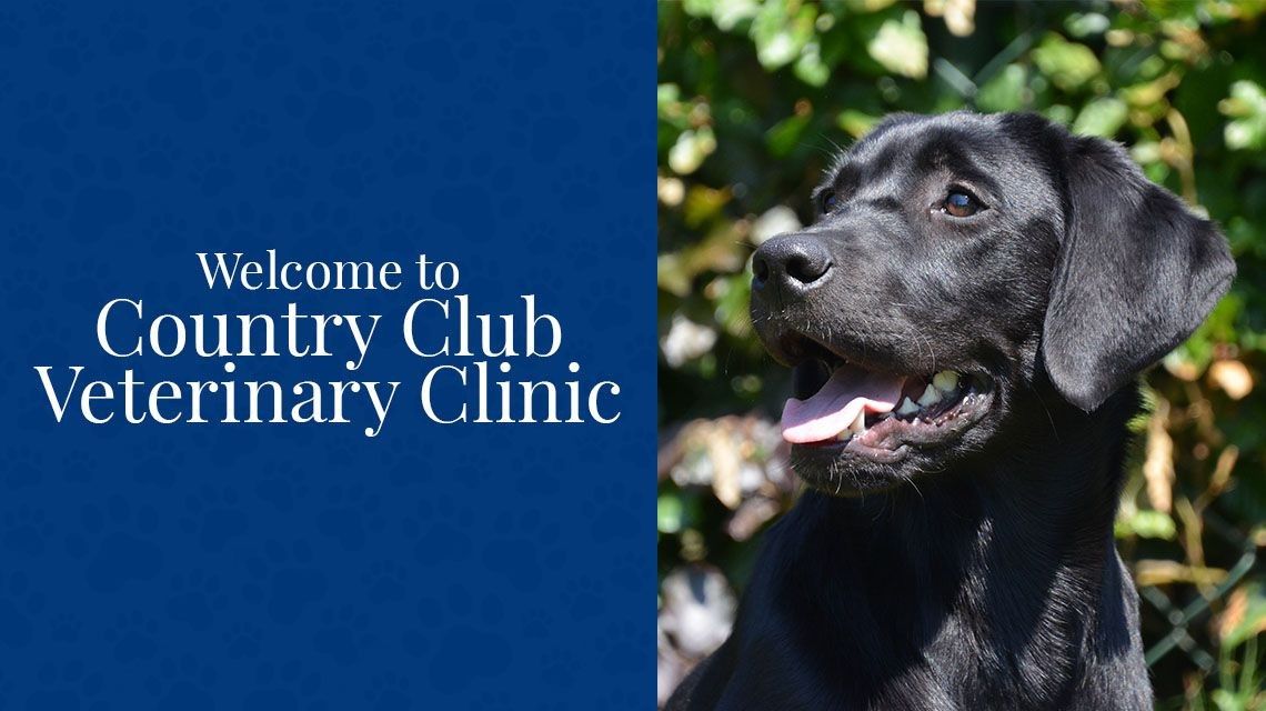 blog-welcome-country-club-veterinary-clinic