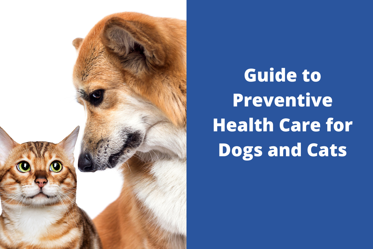 Guide-to-Preventive-Health-Care-for-Dogs-and-Cats