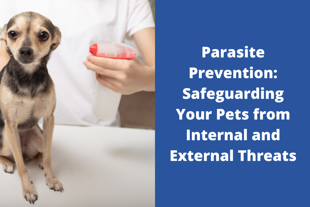 Parasite-Prevention-Safeguarding-Your-Pets-from-Internal-and-External-Threats