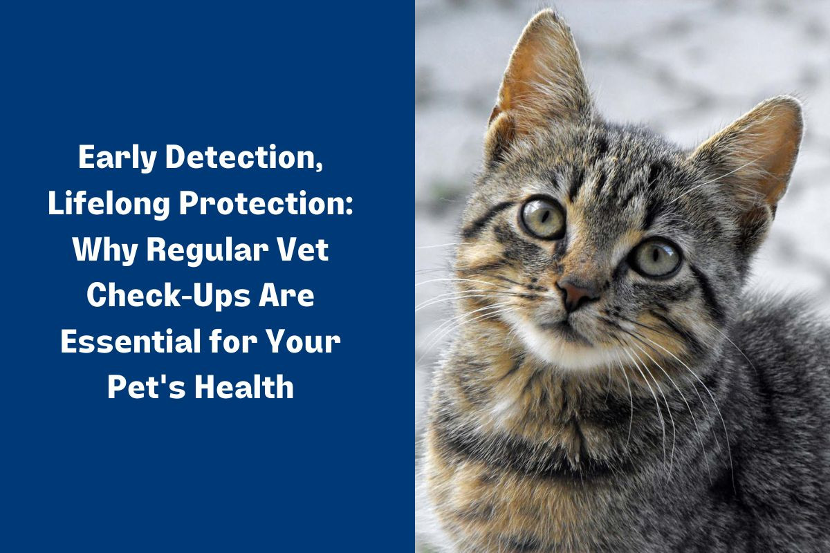 Early-Detection-Lifelong-Protection-Why-Regular-Vet-Check-Ups-Are-Essential-for-Your-Pets-Health