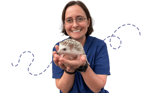 Woman in blue scrubs holding a small hedgehog in her hands, smiling.