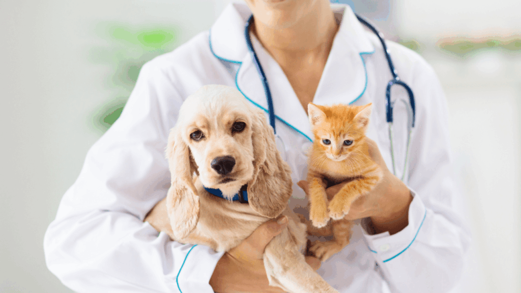 Veterinarian holding a puppy and a kitten.