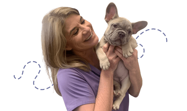 A woman in a purple top joyfully holding a small, light-colored French Bulldog puppy.