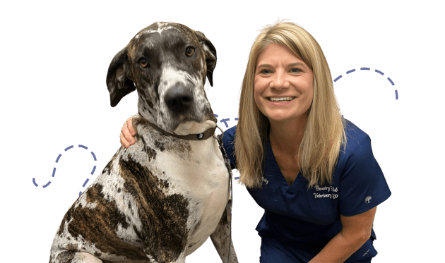A smiling woman in blue scrubs with a large, spotted dog.