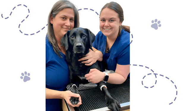 Two smiling women in blue scrubs with a black dog on a table.