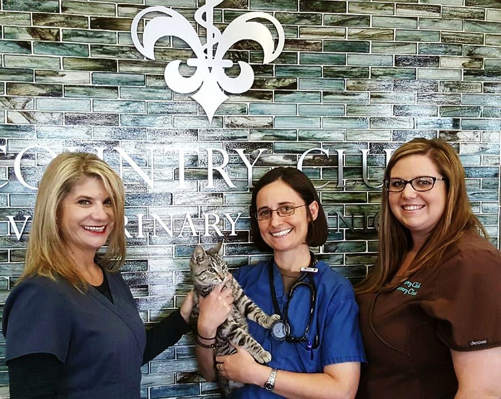 Three women smiling in a veterinary clinic, one holding a tabby kitten.