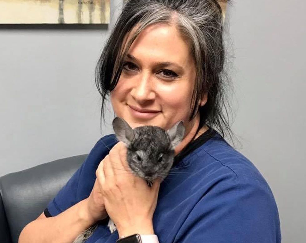 Woman in blue uniform holding a chinchilla.