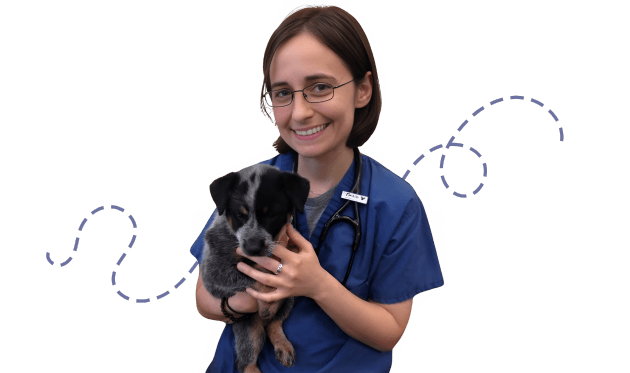 Smiling female veterinarian holding a small black puppy.