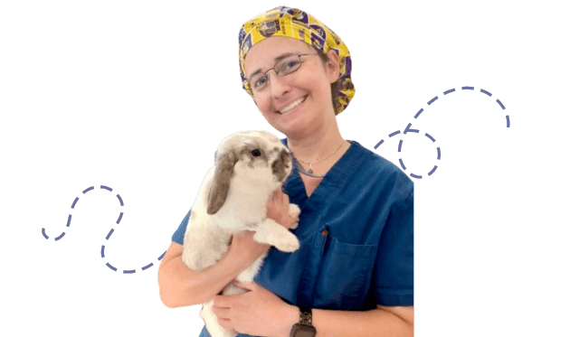 Veterinarian in scrubs holding a small rabbit.