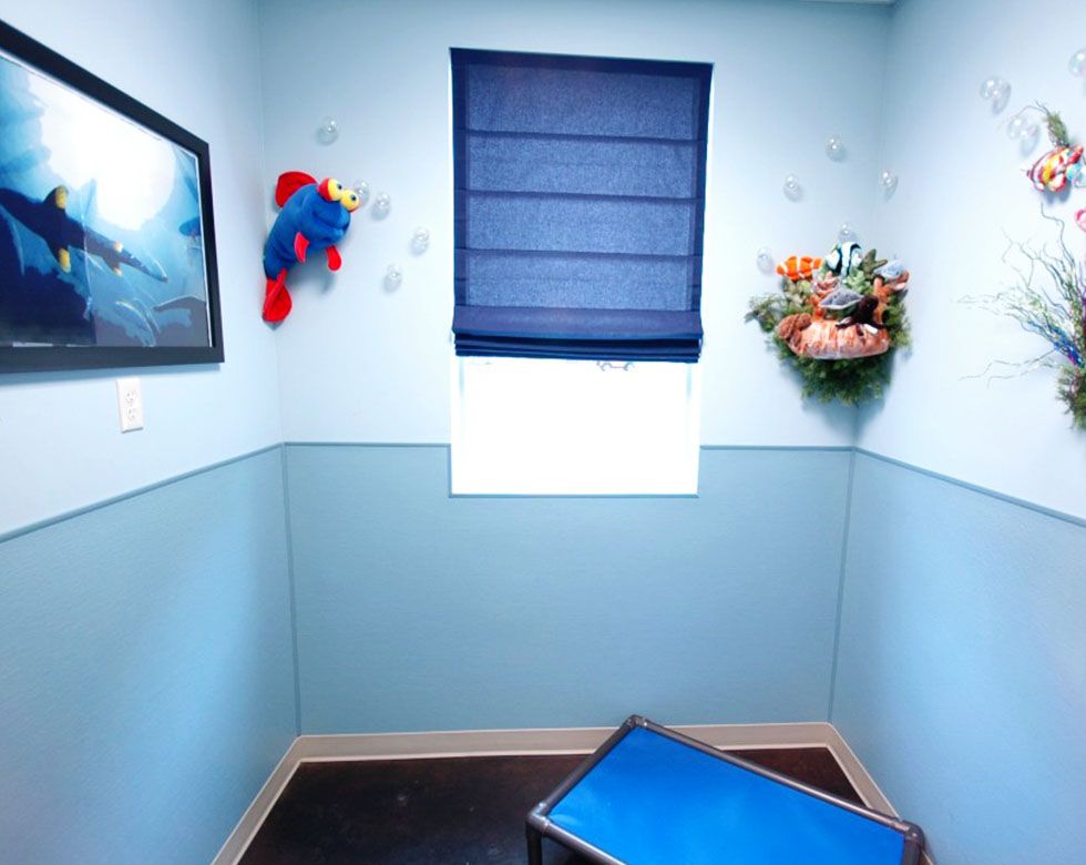 Blue room with undersea decorations including a stuffed fish toy and framed ocean art.