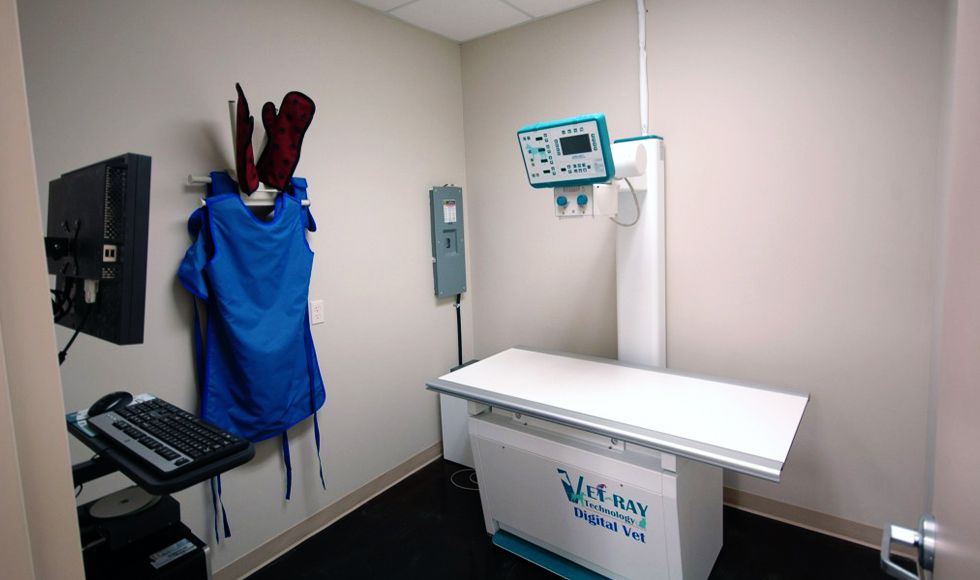 Modern veterinary X-ray room with a blue protective apron hung on the wall.