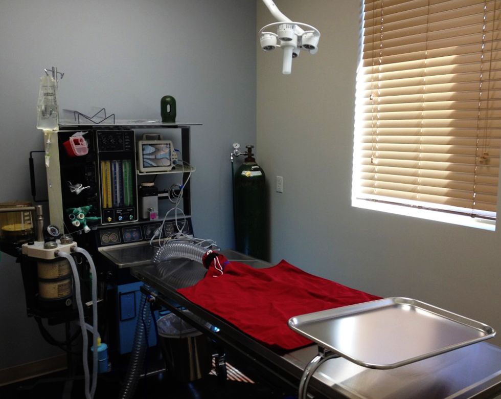 Medical room with an examination table, equipment, and overhead light.