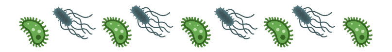 Illustration of alternating green and gray bacteria with flagella, shown in a row.