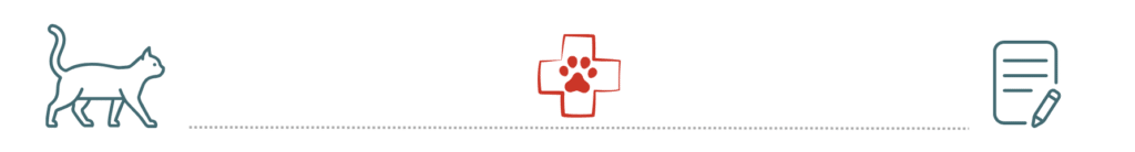 preventive care visit supported by pet insurance at Country Club Veterinary Clinic in Lake Charles