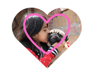 Veterinary care for pocket pets and exotics at Country Club Veterinary Clinic in Lake Charles, LA