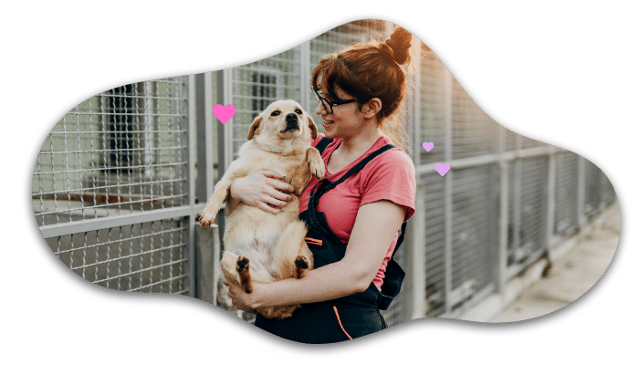 Shelter dog adoption supported by Country Club Veterinary Clinic in Lake Charles, LA