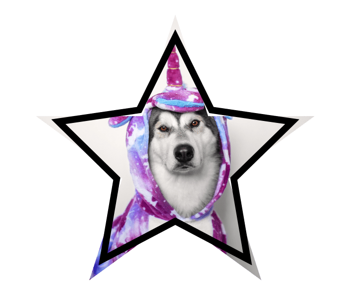 Dog wearing a unicorn costume representing trusted vet care in Lake Charles, LA